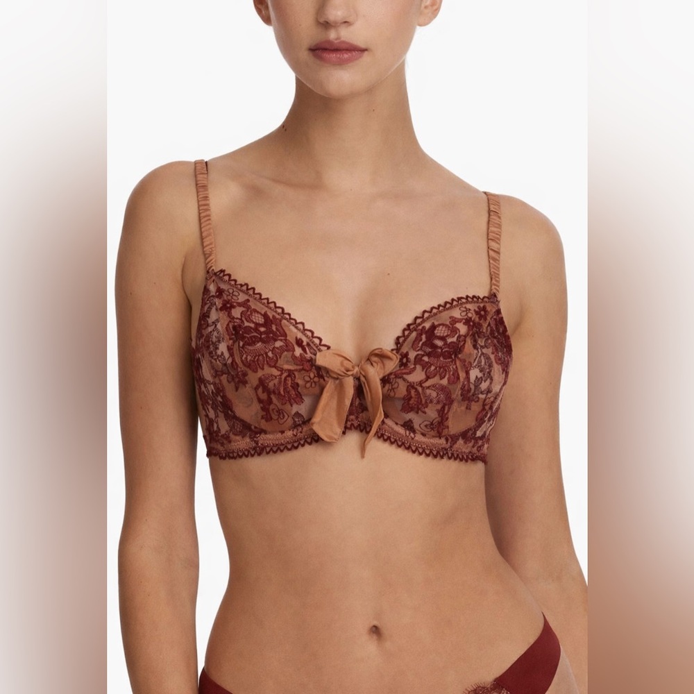 Etam Paris Lace Underwire Bra 34C Burgundy Tan Sheer Embroidered Bow